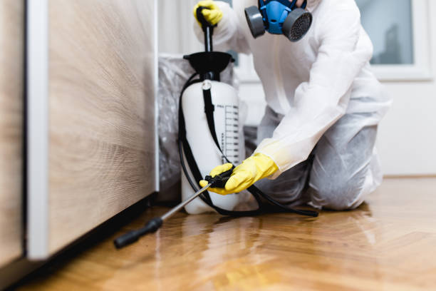 Best Mosquito Control Services  in Fair Haven, NY
