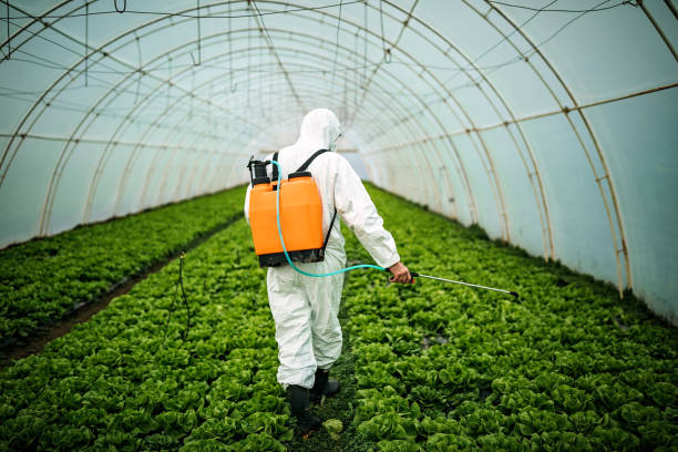 Best Pest Removal Services  in Fair Haven, NY