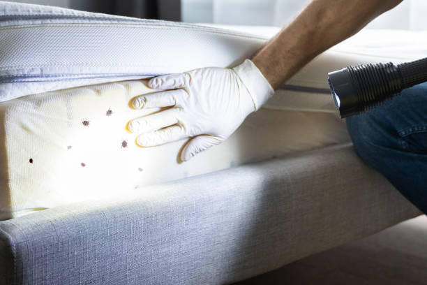 Best Wildlife Control Services  in Fair Haven, NY