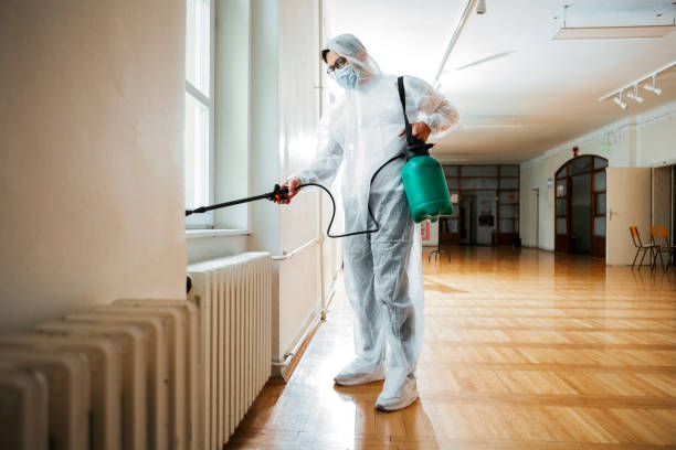 Best Wasp Removal Services  in Fair Haven, NY